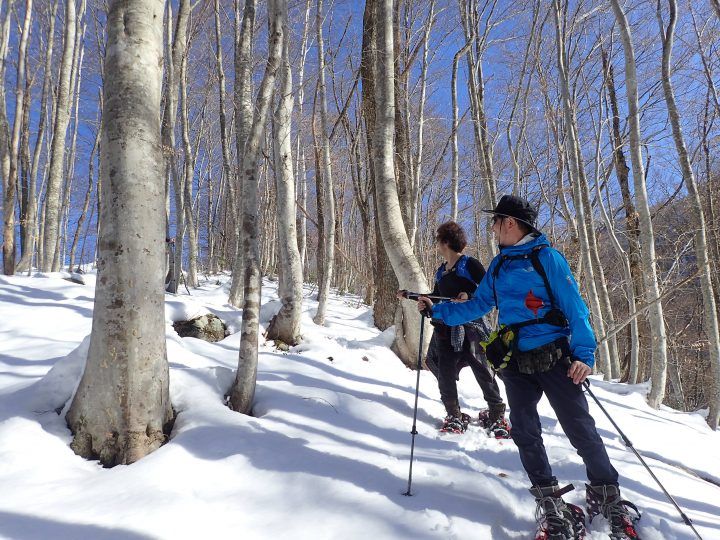 snowshoeing in Japan